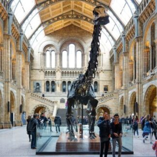 Science, Natural History and Victoria & Albert Museums - Day Tour - 7th August 2026