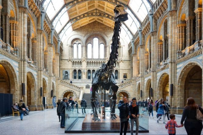 Science, Natural History and Victoria & Albert Museums - Day Tour - 7th August 2026